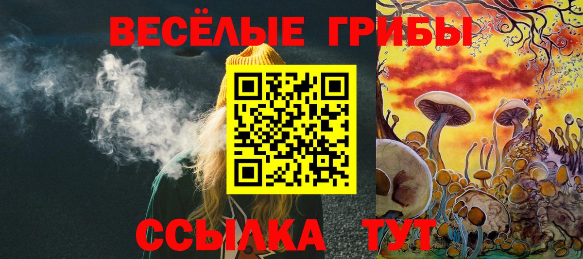 Галлюциногенные грибы мицелий Белово