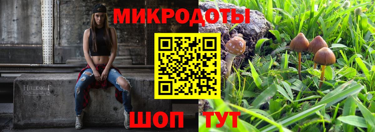 Галлюциногенные грибы MAGIC MUSHROOMS  Вход с VPN  Галлюциногенные грибы прущие грибы  Белово 